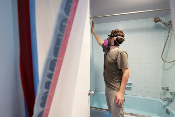 Best Comprehensive Air Testing for Mold Contaminants  in Redan, GA