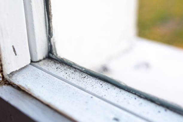 Best Water Damage & Mold Remediation  in Redan, GA