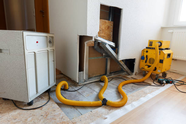 Best Indoor Air Quality Assessment  in Redan, GA